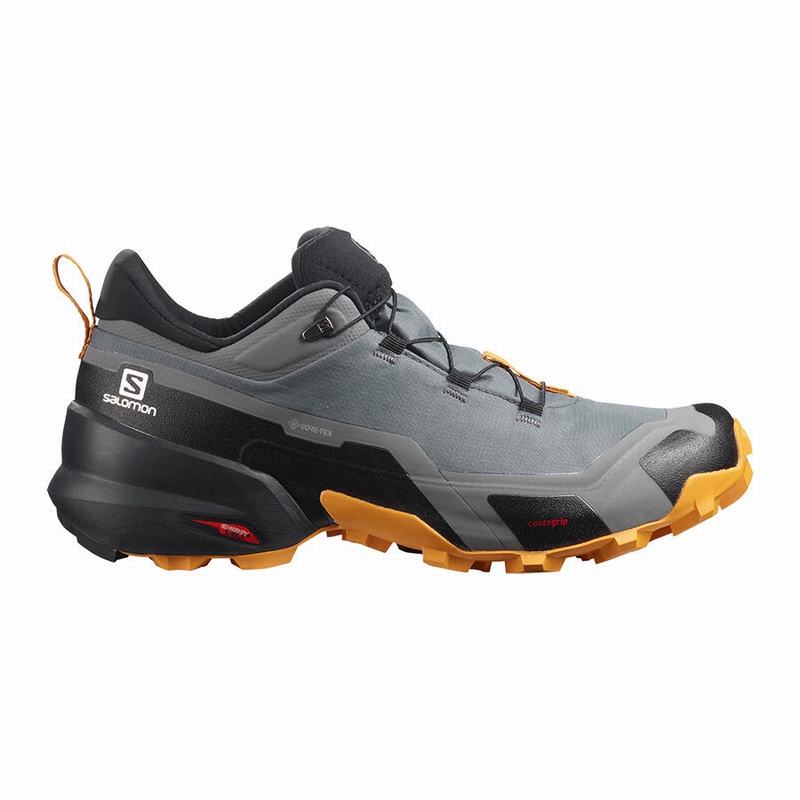 Chaussures De Randonnée Salomon Homme Noir - Salomon CROSS HIKE GORE-TEX - France (6820-LGYEU)